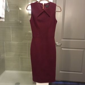 Ted Baker London Bodycon Dress